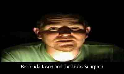 Image of Bermuda Jason and the Texas Scorpion Brayton Scott Entertainment©